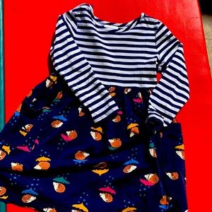 Hanna Andersson hedgehog maxi dress size 5